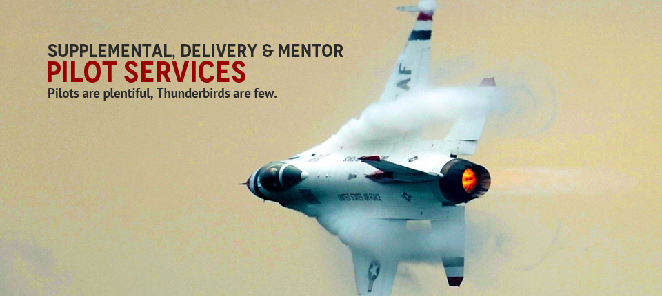 Contract, Delivery & Mentor Pilot Services